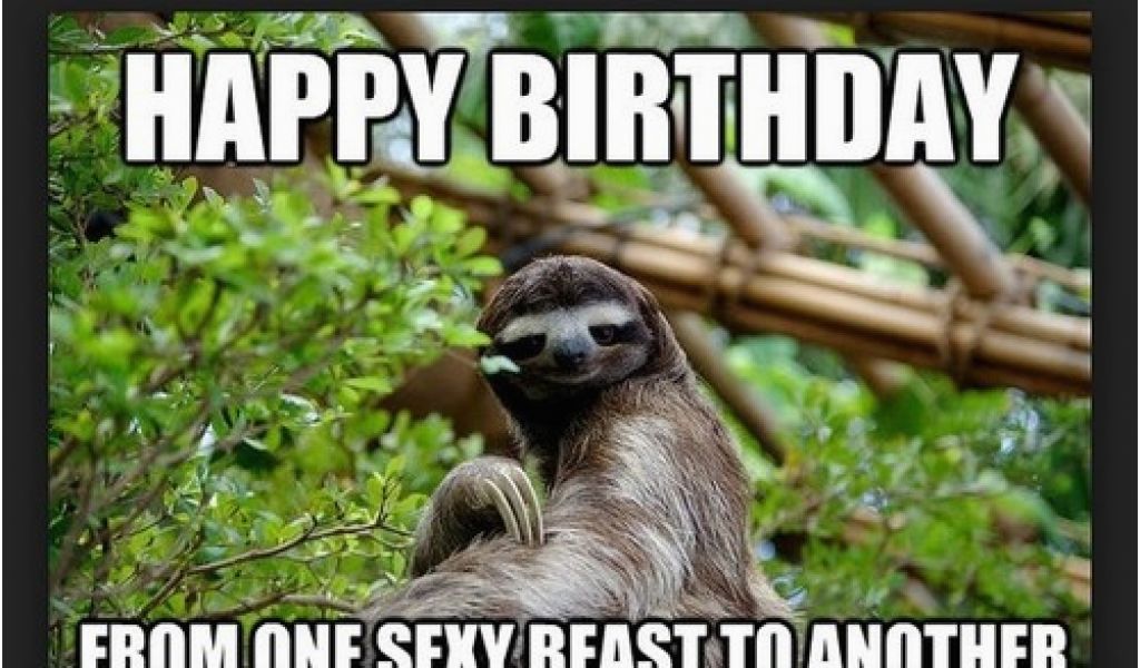 funny happy birthday sloth memes – Happy Birthday Memes