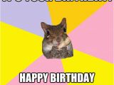 Squirrel Happy Birthday Meme Hypochondriac Squirrel Memes Quickmeme