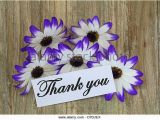 Thank You Note for Birthday Flowers Happy Birthday Malar Malbha Page 2