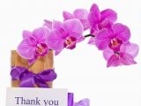 Thank You Note for Birthday Flowers Thank You Notes to Express Gratitude Pollen Nation