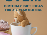 What to Buy for A 2 Year Old Birthday Girl 20 Stem Birthday Gift Ideas for A 2 Year Old Girl Unique